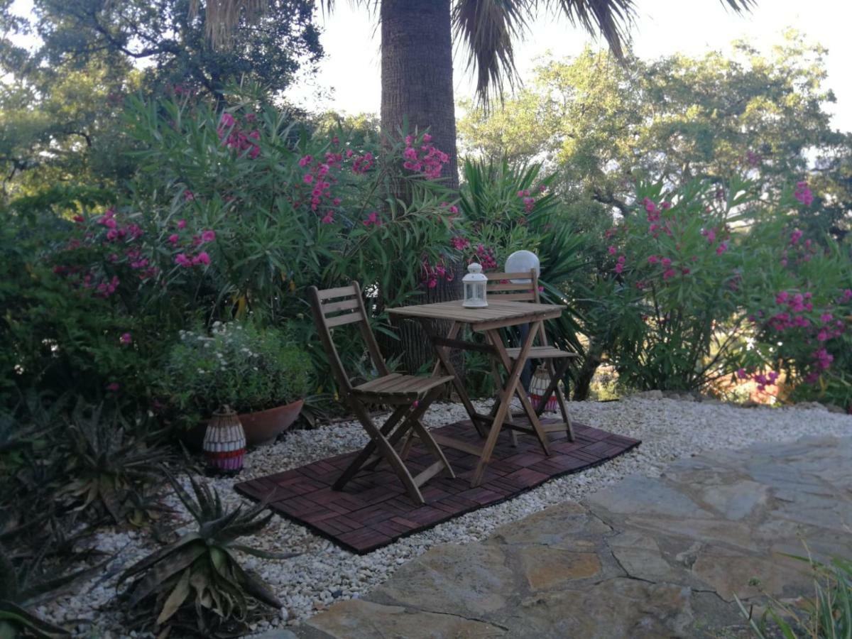 Apartmán Encantador Y Amplio Estudio A 15 Min De Marbella Ojén Exteriér fotografie